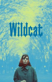 Wildcat Wildcat