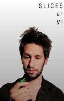 Slices of Vi Slices of Vi