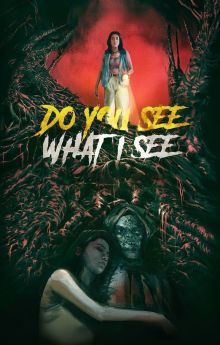Do You See What I See Do You See What I See