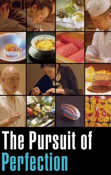 The Pursuit Of Perfection The Pursuit Of Perfection