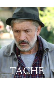 Tache Tache