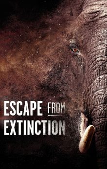 Escape from Extinction Escape from Extinction