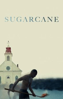 Sugarcane Sugarcane