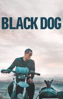 Black Dog Black Dog