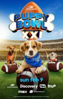 Puppy Bowl XXI Puppy Bowl XXI