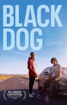 Black Dog Black Dog