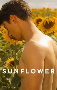 Sunflower Sunflower