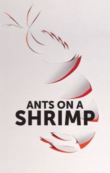 Ants on a Shrimp Ants on a Shrimp