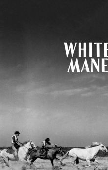 White Mane White Mane