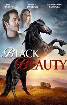 Black Beauty Black Beauty