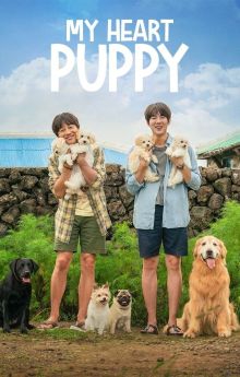 My Heart Puppy My Heart Puppy