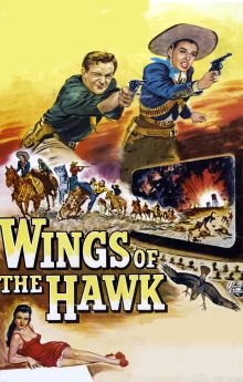 Wings of the Hawk Wings of the Hawk