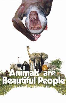 Animals Are Beautiful People Animals Are Beautiful People